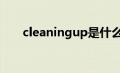 cleaningup是什么意思（cleaning）