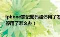 iphone忘记密码被停用了怎么办（苹果手机忘记密码了被停用了怎么办）