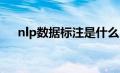 nlp数据标注是什么（数据标注是什么）