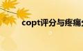 copt评分与疼痛分级（疼痛分级）