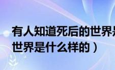 有人知道死后的世界是什么样子吗?（死后的世界是什么样的）