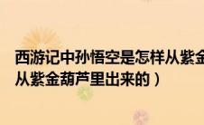 西游记中孙悟空是怎样从紫金葫芦里出来的（孙悟空是怎样从紫金葫芦里出来的）