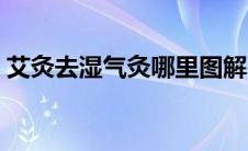 艾灸去湿气灸哪里图解（艾灸去湿气灸哪里）