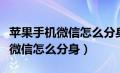 苹果手机微信怎么分身成两个微信（苹果手机微信怎么分身）