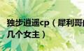 独步逍遥cp（犀利哥的小说(独步逍遥)里面有几个女主）