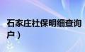 石家庄社保明细查询（石家庄社保查询个人账户）