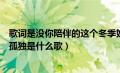 歌词是没你陪伴的这个冬季好孤独（没你陪伴的这个冬季好孤独是什么歌）