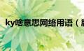 ky啥意思网络用语（腐女说的ky什么意思）