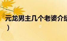 元龙男主几个老婆介绍（元龙男主有几个老婆）