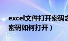 excel文件打开密码忘记了（excel文件忘记密码如何打开）