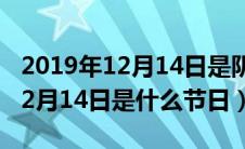 2019年12月14日是阴历几月几号（2019年12月14日是什么节日）