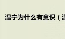 温宁为什么有意识（温宁为什么改叫林宁）