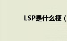 LSP是什么梗（lsp是什么梗）