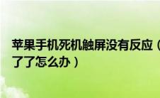 苹果手机死机触屏没有反应（苹果手机死机了突然屏幕动不了了怎么办）