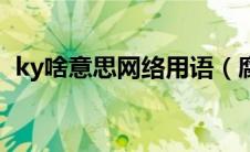 ky啥意思网络用语（腐女说的ky什么意思）