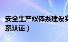 安全生产双体系建设实施方案（安全生产双体系认证）