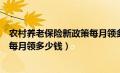 农村养老保险新政策每月领多少钱啊（农村养老保险新政策每月领多少钱）