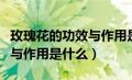 玫瑰花的功效与作用是什么呢（玫瑰花的功效与作用是什么）