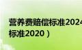 营养费赔偿标准2024多少一天（营养费赔偿标准2020）