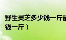 野生灵芝多少钱一斤最新价格（野生灵芝多少钱一斤）