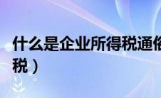 什么是企业所得税通俗易懂（什么是企业所得税）