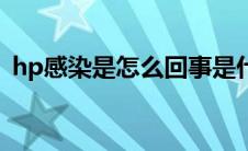 hp感染是怎么回事是什么引起的（hp感染）