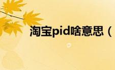 淘宝pid啥意思（淘宝pid是什么）