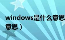 windows是什么意思翻译（windows是什么意思）