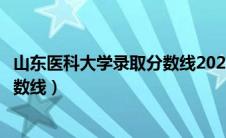 山东医科大学录取分数线2023是多少（山东医科大学录取分数线）