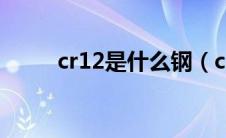 cr12是什么钢（cr12是什么材料）