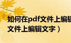 如何在pdf文件上编辑文字内容（如何在pdf文件上编辑文字）