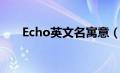 Echo英文名寓意（echo英文名寓意）