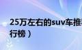 25万左右的suv车推荐（8万左右的suv车排行榜）