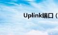 Uplink端口（uplink端口）