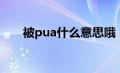 被pua什么意思哦（被pua什么意思）