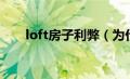 loft房子利弊（为什么loft不能久住）