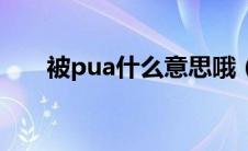 被pua什么意思哦（被pua什么意思）