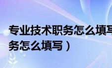 专业技术职务怎么填写二级教师（专业技术职务怎么填写）