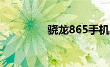 骁龙865手机（865手机）