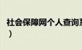 社会保障网个人查询系统（社会保险网上查询）