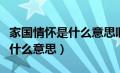 家国情怀是什么意思啊网络用语（家国情怀是什么意思）