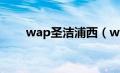 wap圣洁浦西（wap浦西是什么梗）