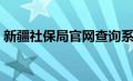 新疆社保局官网查询系统（新疆社保网官网）