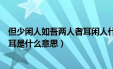 但少闲人如吾两人者耳闲人什么意思（但少闲人于吾两人者耳是什么意思）