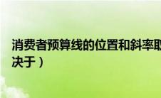 消费者预算线的位置和斜率取决于（预算线的位置和斜率取决于）