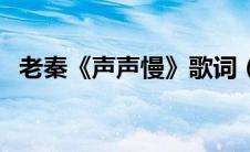 老秦《声声慢》歌词（声声慢秦霄贤歌词）