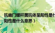 抗幽门螺杆菌抗体呈阳性是什么意思（抗幽门螺旋杆菌抗体阳性是什么意思）