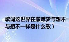 歌词这世界在撒谎梦与想不一样是什么歌（这世界在撒谎梦与想不一样是什么歌）