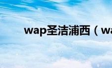 wap圣洁浦西（wap浦西是什么梗）