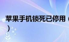 苹果手机锁死已停用（苹果手机被锁了已停用）